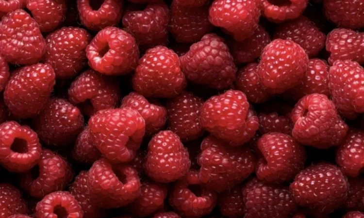 Куплю Малину( Свіжу/Заморожену) - фото № 1