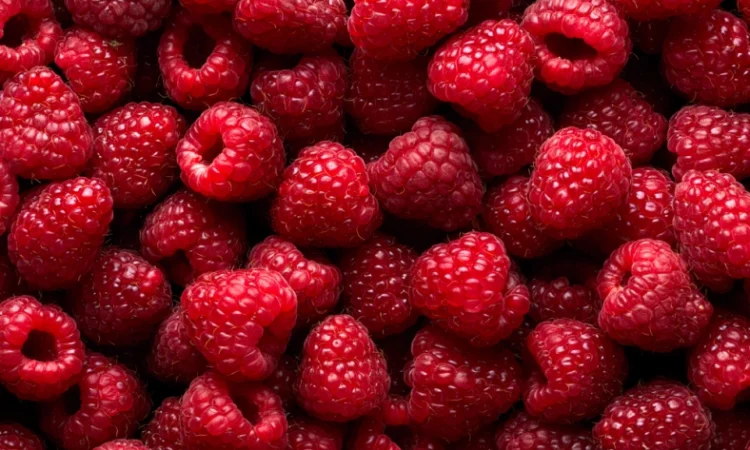 Продам свіжу малину - фото № 1