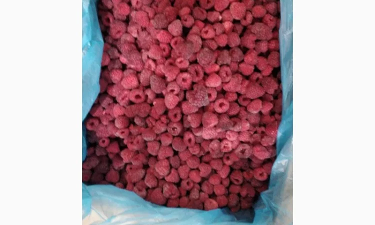 Купимо в об'ємі малину, дорого, в (на переробку та заморозку) - фото № 1