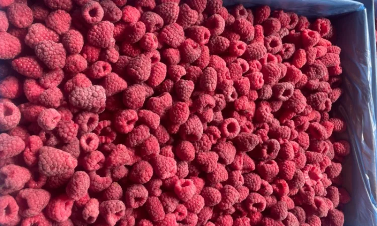 Малина заморожена 80/20 - фото № 1