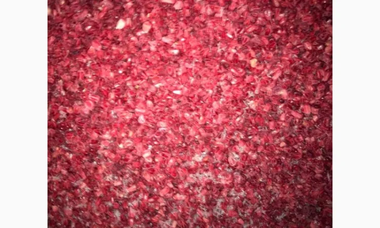 Купуємо малину грис до 200 тонн - фото № 1