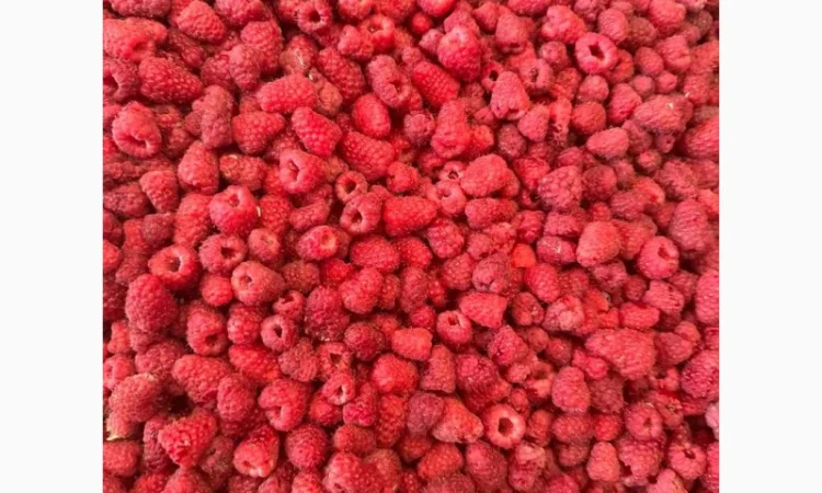 Купую морожену малину оптом - фото № 1
