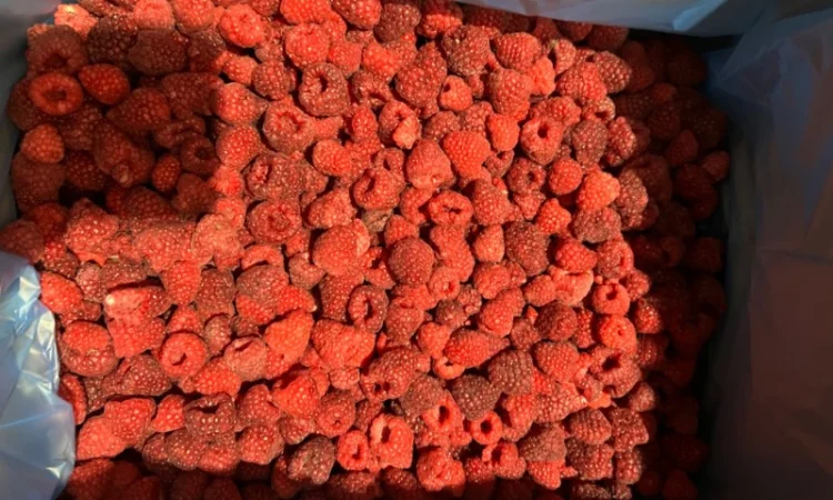 Продам малину оригінал, 80/20 та гриз - фото № 1