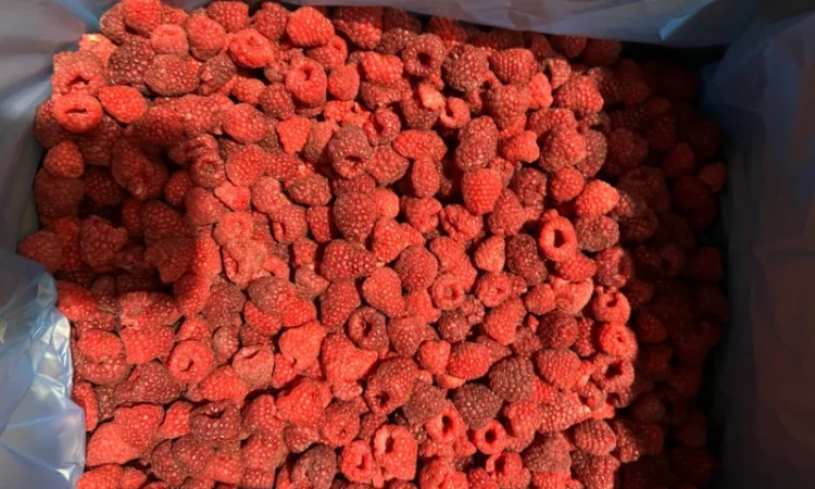 Продам малину оригінал, 80/20 та гриз - фото № 2