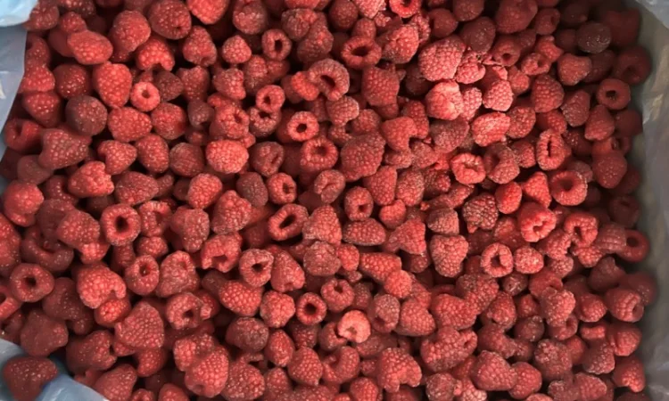 Куплю малину заморожену - фото № 1