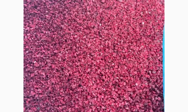 Продам малину грис - фото № 2