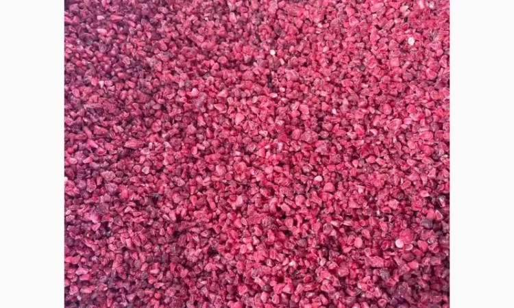 Продам малину грис - фото № 3