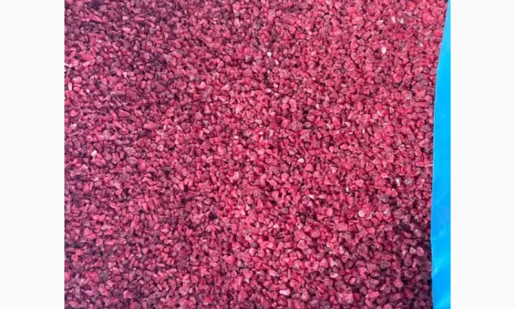 Продам малину грис - фото № 5