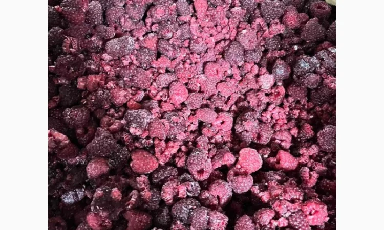 Продам гриз малини по доступній ціні - фото № 1