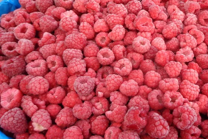 Продам замороженную малину оптом - фото № 1