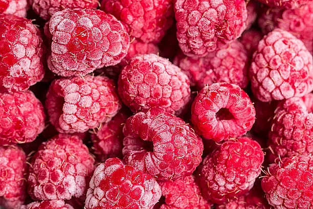 Виконаємо контракт на постачання заморожених ягід та грибів - фото № 1