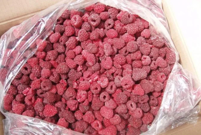 Продам малину оптом а, б клас - фото № 1