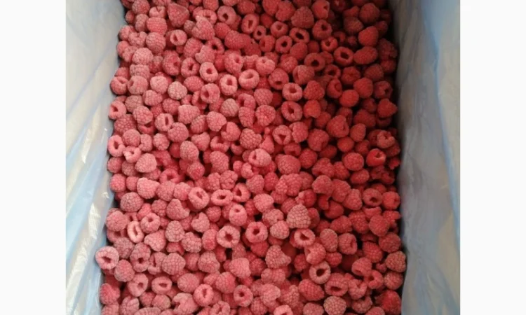 Продам малину - фото № 2