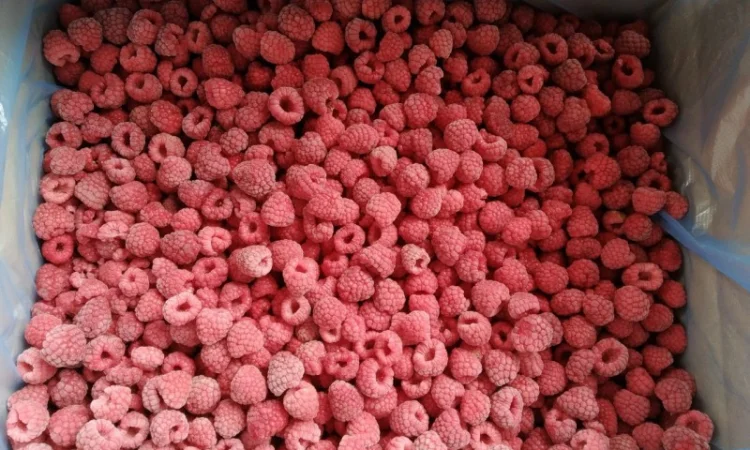 Продам малину - фото № 3