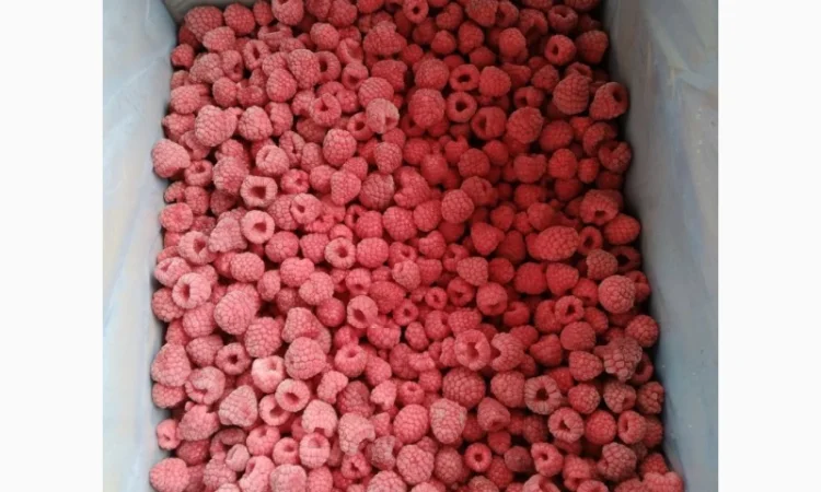 Продам малину - фото № 4