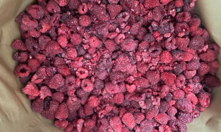 Продам малину - фото № 7