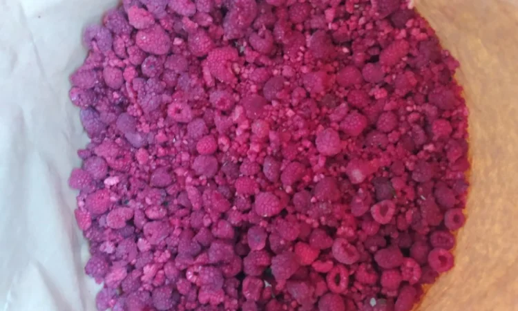 Продам грис малини - фото № 2