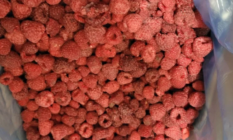 Продам малину - фото № 2