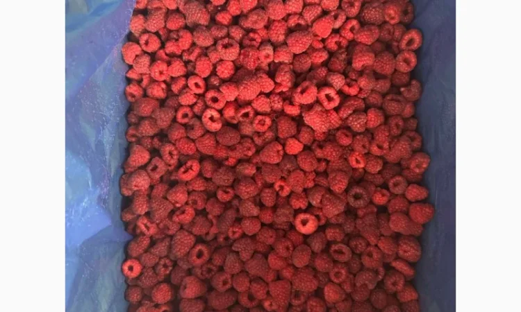 Малина заморожена, 90/10, урожай 2024 року - фото № 2