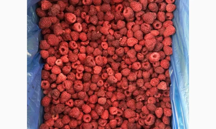 Малина заморожена, 90/10, урожай 2024 року - фото № 3