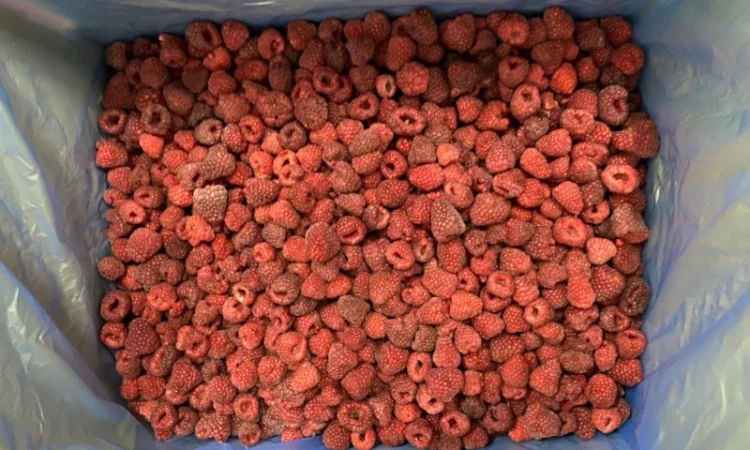 Продам малину 80/20 або в чешці - фото № 6