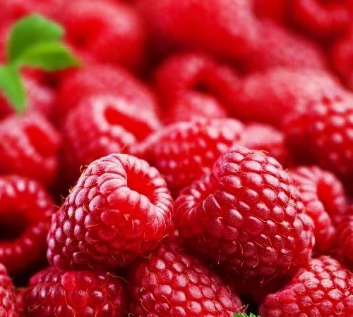 Куплю малину, оптом! Будь-який обсяг - фото № 1