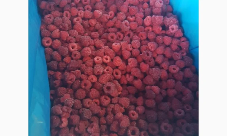 Продам МАЛИНУ замороженную - фото № 2