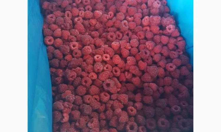 Продам МАЛИНУ замороженную - фото № 3