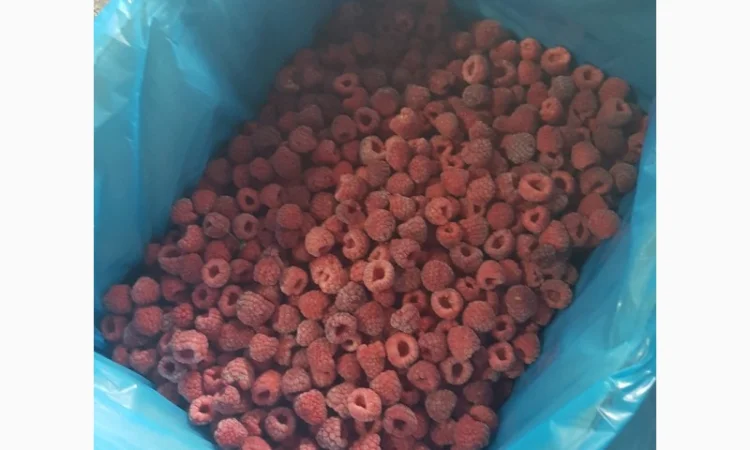 Продам МАЛИНУ замороженную - фото № 4