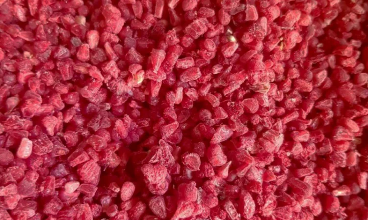 Купуємо заморожену малину (лом крамбл грис) оптом - фото № 1