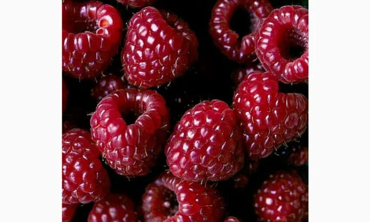 Куплю малину на заморозку - фото № 1