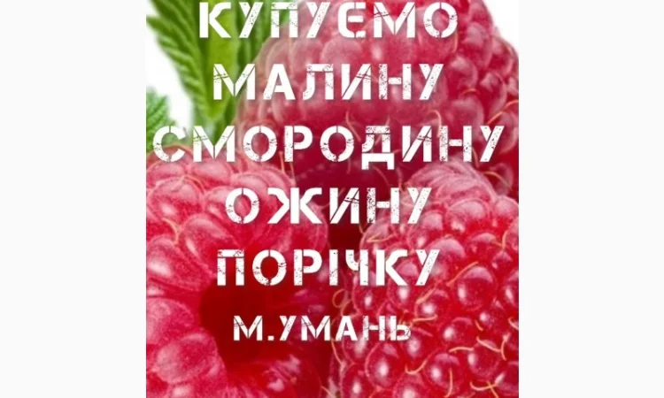 Купимо Малину - фото № 1