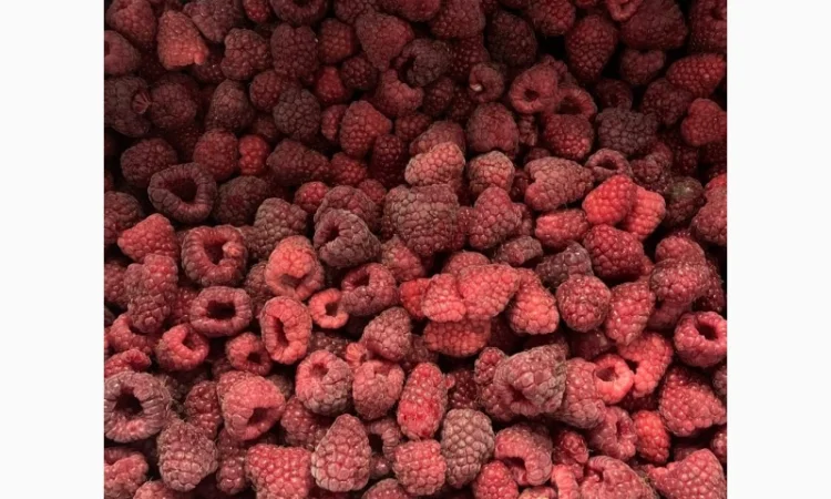 Заморожена малина - фото № 2