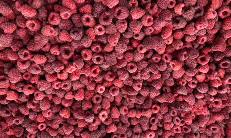 Заморожена малина - фото № 3