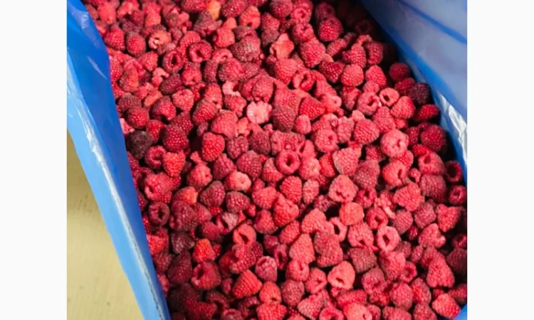 Заморожена малина - фото № 4