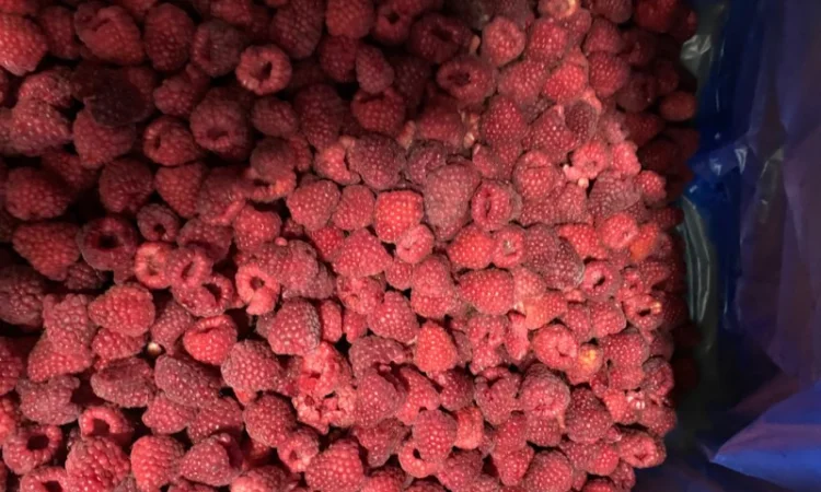 Заморожена малина - фото № 5