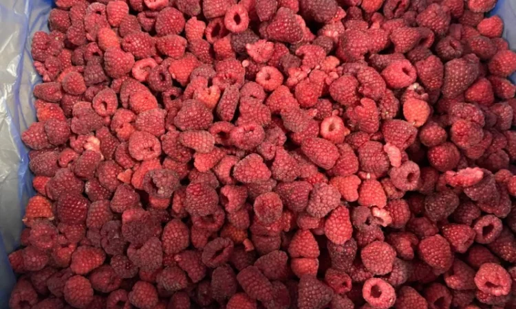 Заморожена малина - фото № 6
