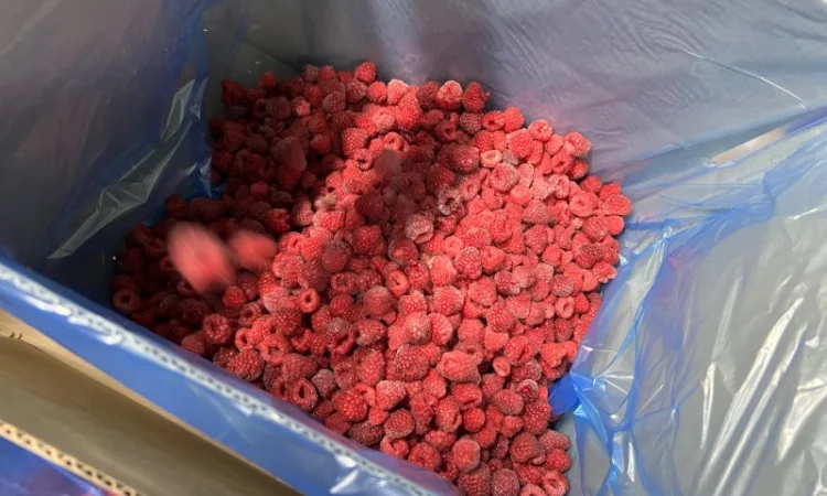 Заморожена малина - фото № 8