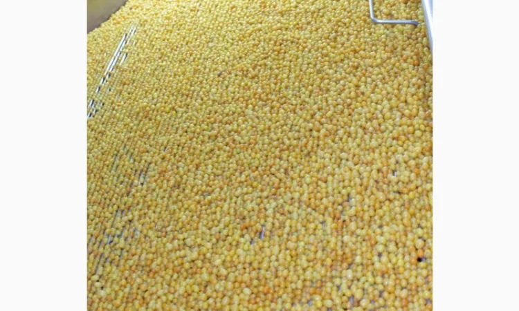 Обліпиха заморожена Б - клас - фото № 3