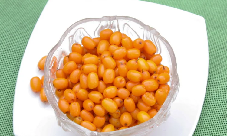 Обліпиха ягода заморожена на гілці ЕКО без хімічної обробки Перешлю - фото № 4