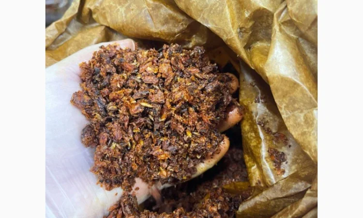 Продам сушену обліпиху, культивована - фото № 1