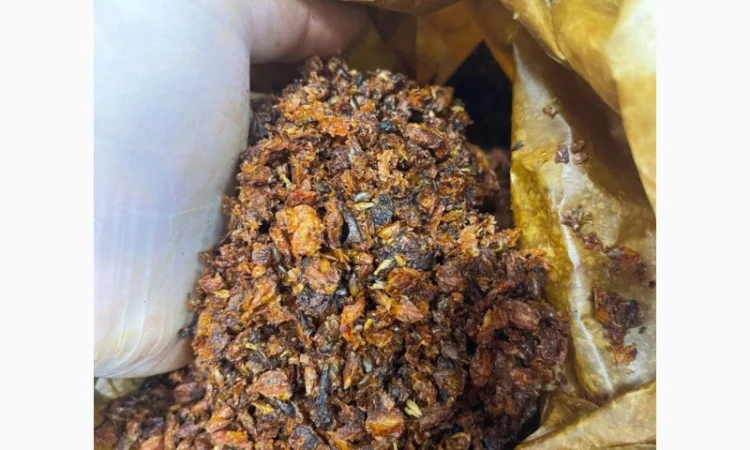 Продам сушену обліпиху, культивована - фото № 2