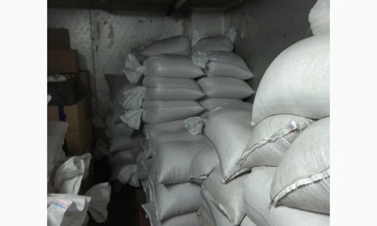 Продам обліпиху, облепиху - фото № 2