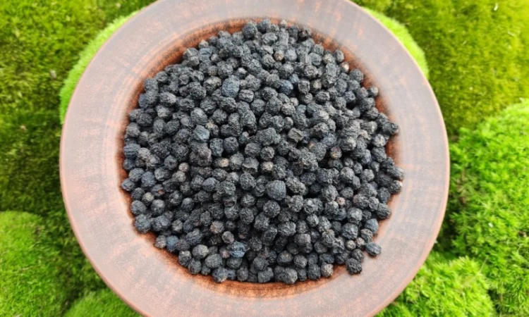 Аронія сушена, горобина чорноплідна, арония черноплодная - фото № 1