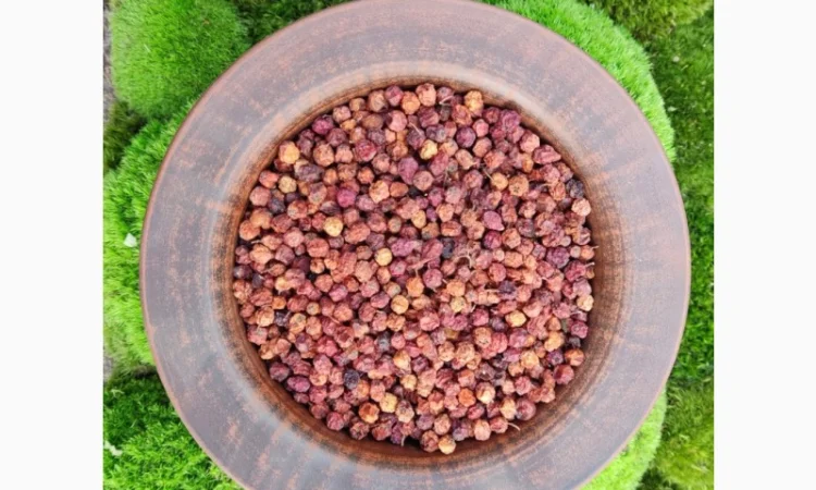 Горобина, червоноплідна горобина, рябина - фото № 1