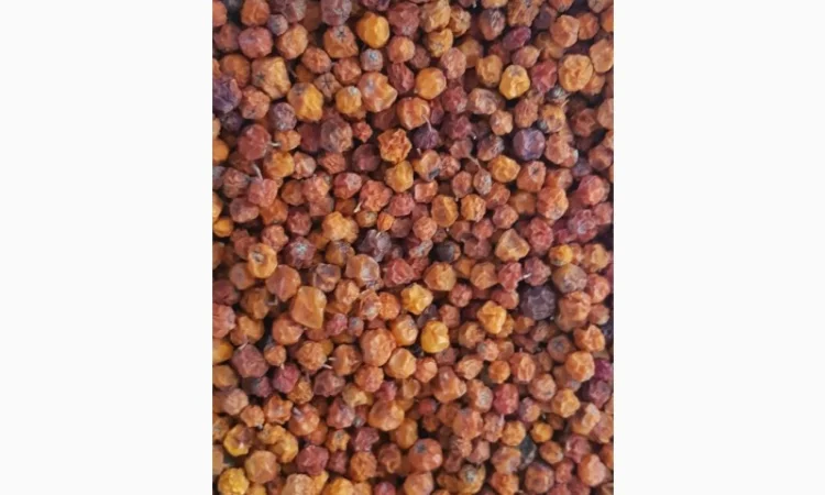 Продам рябину красную (сухую) - фото № 1