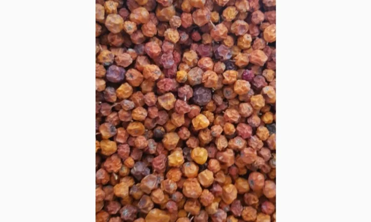 Продам рябину красную (сухую) - фото № 2