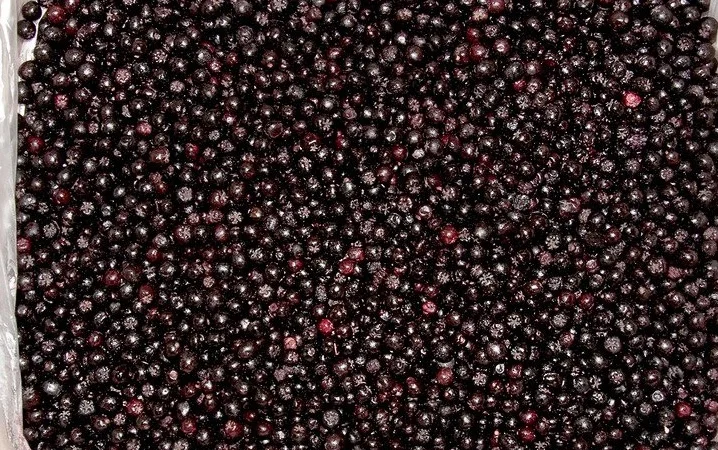 Продам замороженные ягоды Аронии - фото № 1