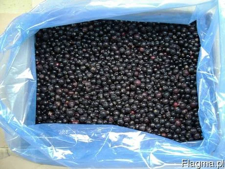 Смородина шокової заморозки: чорна та червона - фото № 1