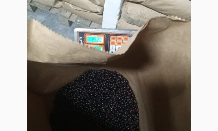 Продам смородину заморожену - фото № 4